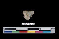 藏品(水晶)的圖片